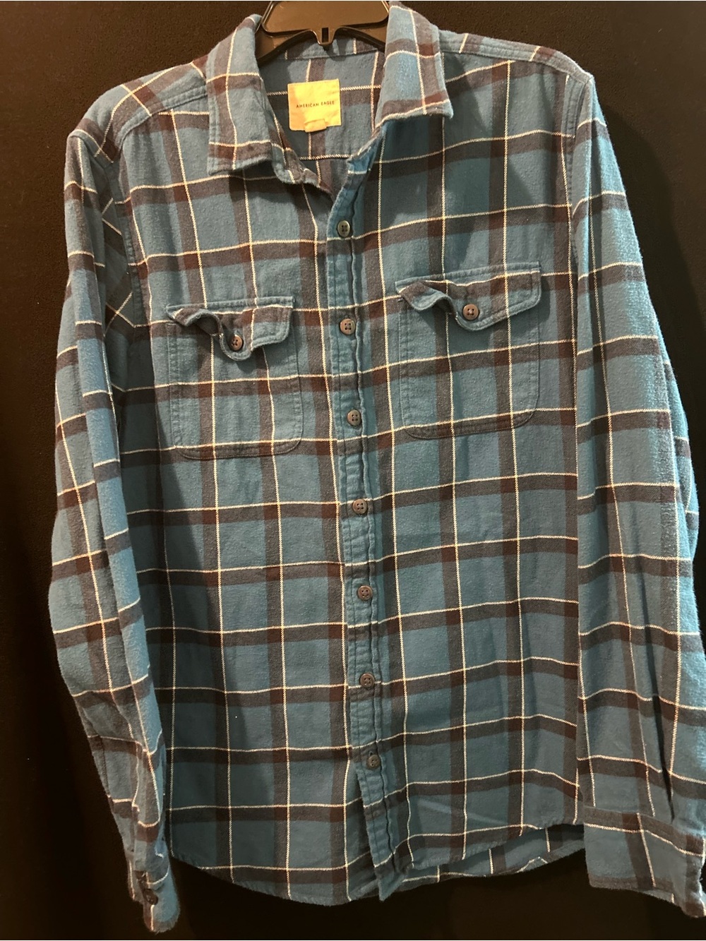 American Eagle Outfitters Blue Plaid Button-Down Shirt